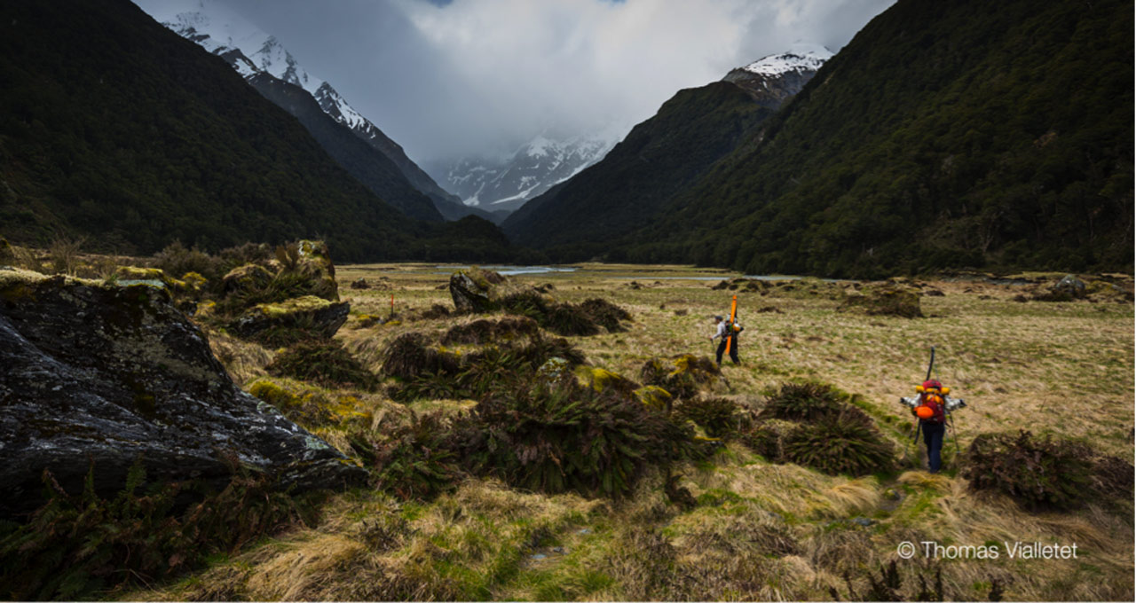 news-new-zealand-thomas-vialletet-2