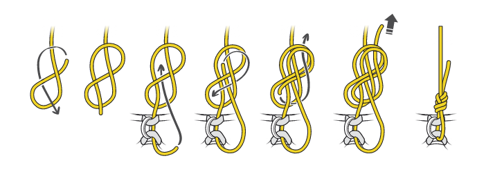knots01