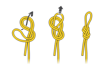 knots02