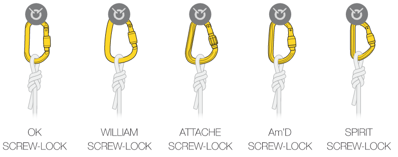 choice_of_carabiners03