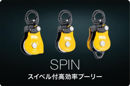 SPIN